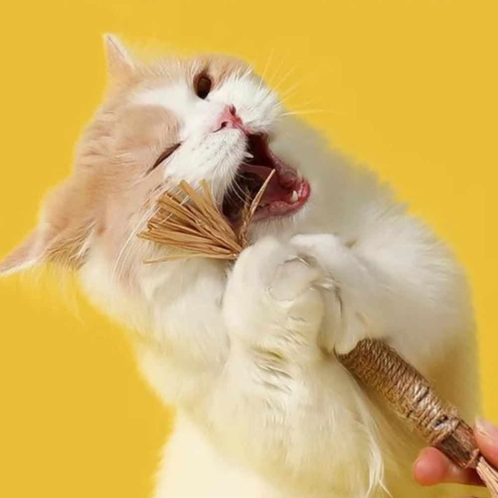 Natural Wooden Chew Stick Toy™